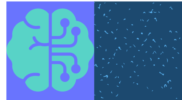 Prompt Engineering for Agency Teams (Guest Speaker) post thumbnail